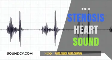 Understanding Stenosis Heart Sound: Causes, Symptoms, and Diagnosis Explained