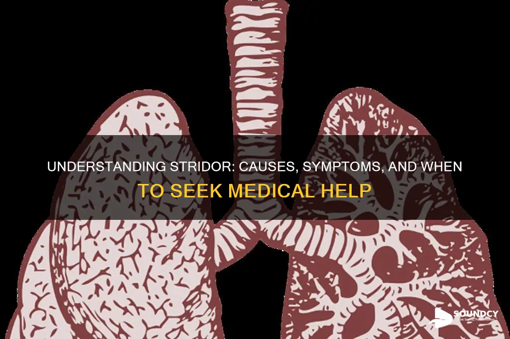 what is stridor breath sounds