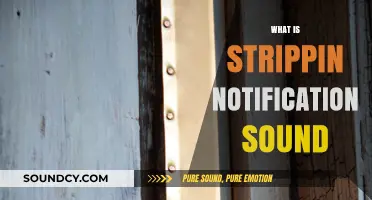 Unveiling the Catchy Strippin Notification Sound: Origins and Popularity Explained