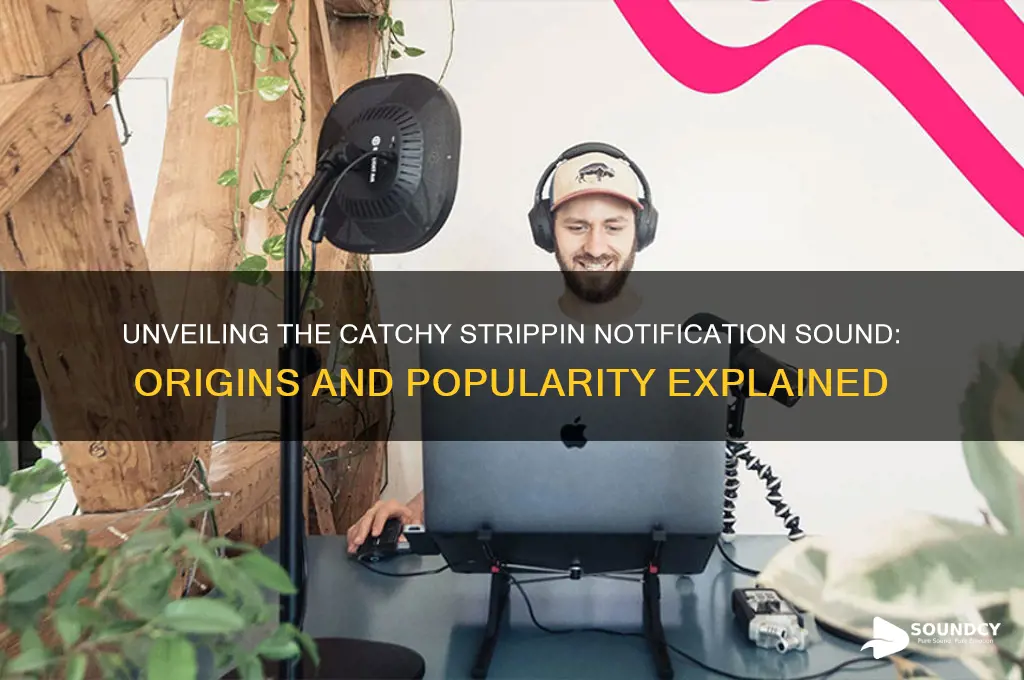 what is strippin notification sound