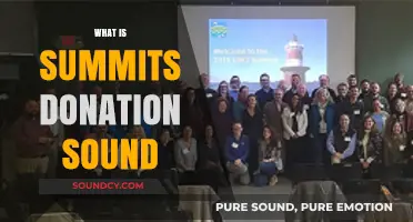 Summits Donation Sound: Unveiling the Mystery Behind the Unique Acoustic Phenomenon
