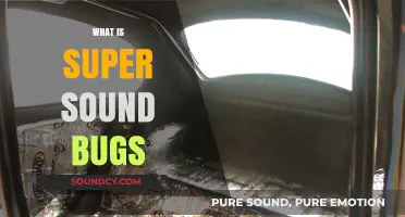 Unveiling the Mystery of Super Sound Bugs: Tiny Creatures, Big Noise