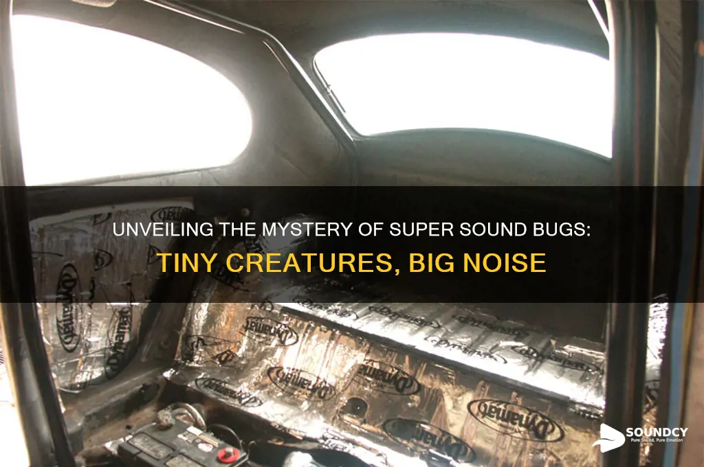 what is super sound bugs