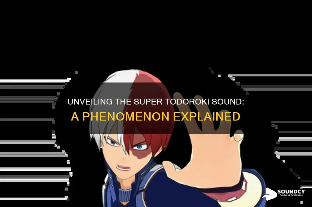 what is super todoroki sound