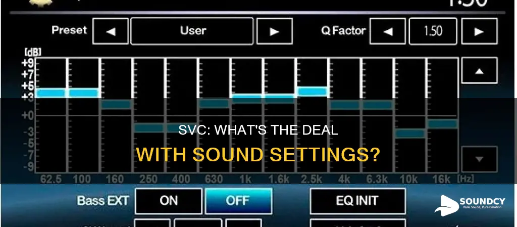 what is svc in sound settings