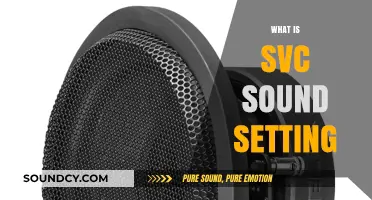 Understanding SVC Sound Setting: Enhance Your Audio Experience with This Guide