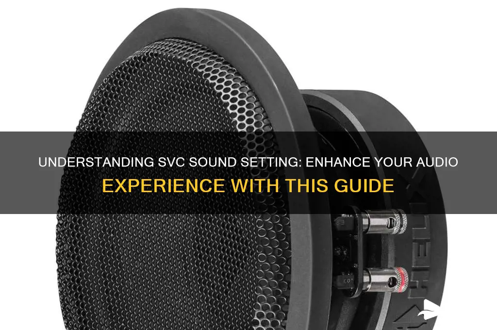 what is svc sound setting