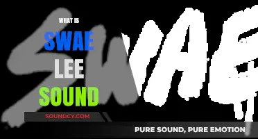 Exploring Swae Lee's Signature Sound: A Fusion of Melody and Vibes