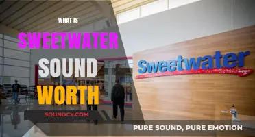 Exploring Sweetwater Sound's Value: A Comprehensive Financial Analysis