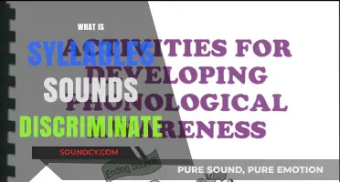 Understanding Syllable Sounds: How Discrimination Shapes Language and Communication