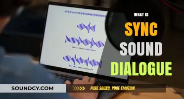 Understanding Sync Sound Dialogue: Techniques, Importance, and Applications in Filmmaking