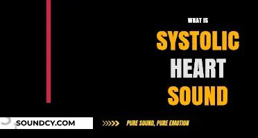 Understanding Systolic Heart Sound: Causes, Significance, and Clinical Importance