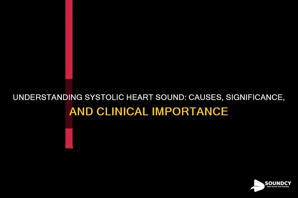 what is systolic heart sound