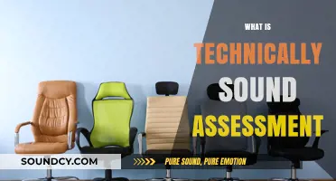Understanding Technically Sound Assessment: Key Principles and Best Practices