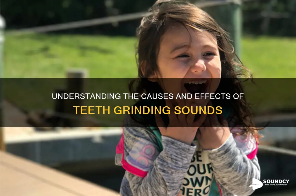 what is teeth grinding sound