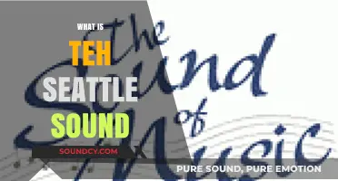 Unveiling the Seattle Sound: Grunge, Indie, and Beyond Explained