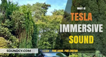 Exploring Tesla Immersive Sound: Features, Technology, and Audio Experience