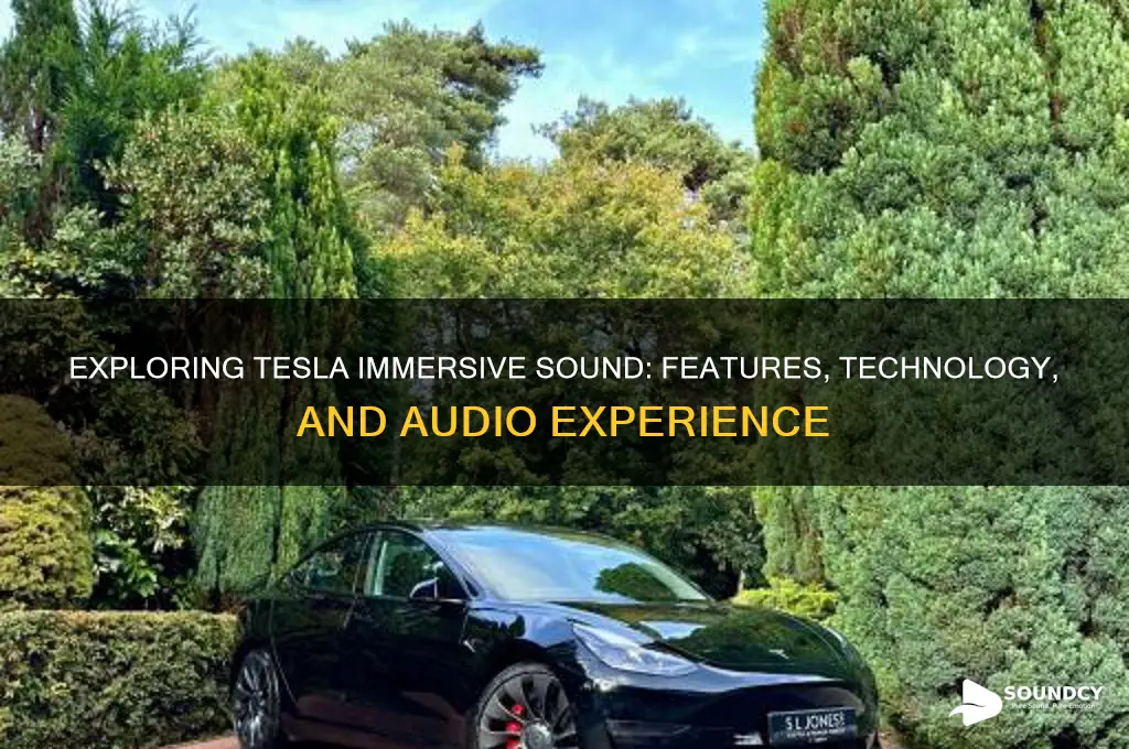 what is tesla immersive sound