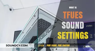 TFUE's Sound Settings: Optimize Your Audio for Competitive Gaming Success