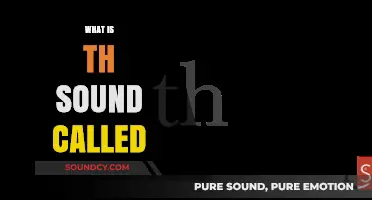 Unraveling the Mystery: What is the 'Th' Sound Called in Phonetics?