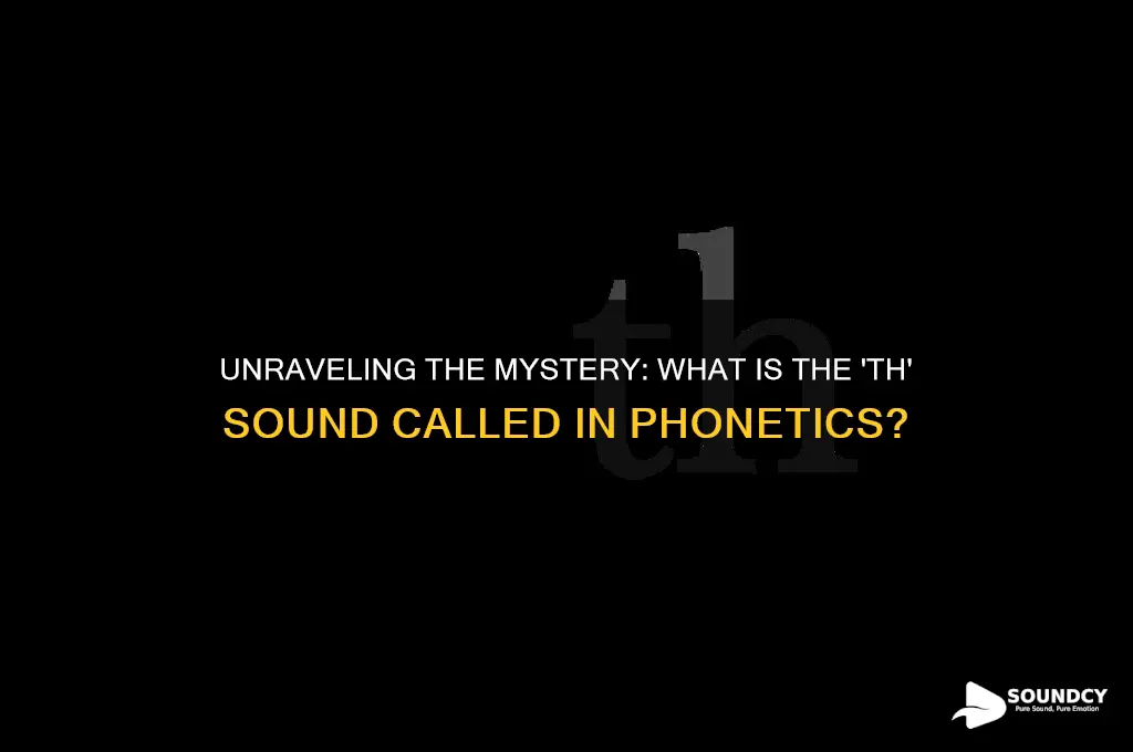 what is th sound called