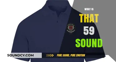Unraveling the Mystery: Understanding the 59 Sound's Meaning and Origins