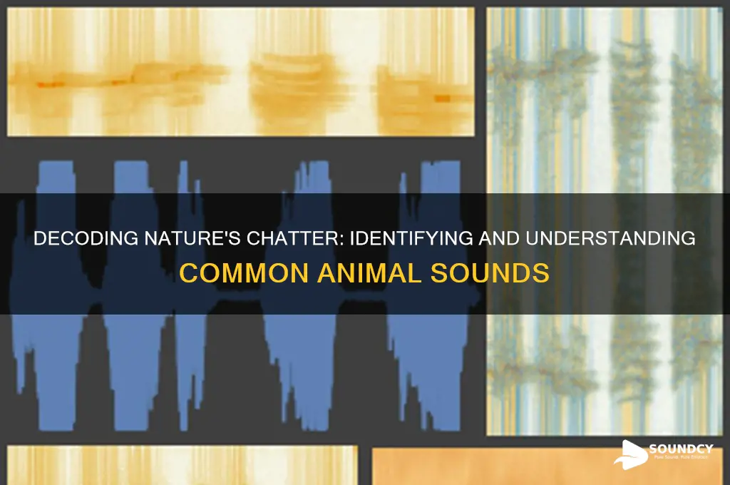 what is that animal sound