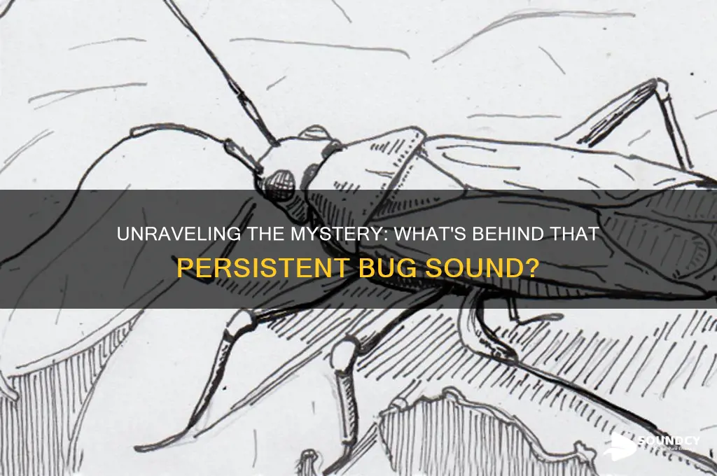 what is that bug sound