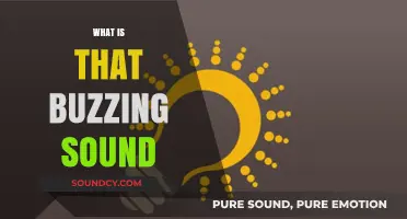 Unraveling the Mystery: What's Causing That Persistent Buzzing Sound?