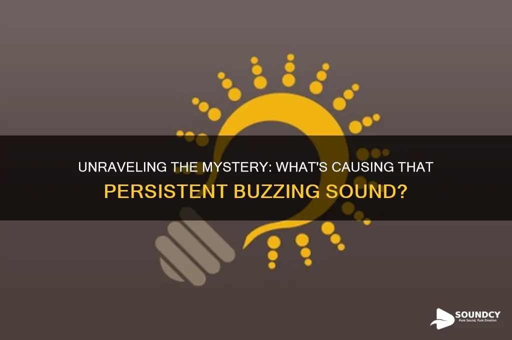 what is that buzzing sound
