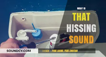 Unraveling the Mystery: What Causes That Persistent Hissing Sound?