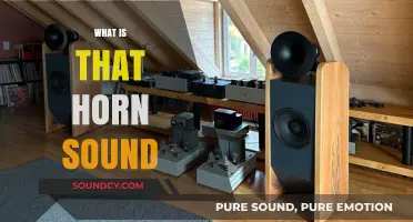 Unraveling the Mystery: What is That Horn Sound and Why It Matters