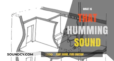 Unraveling the Mystery: What Causes That Persistent Humming Sound?
