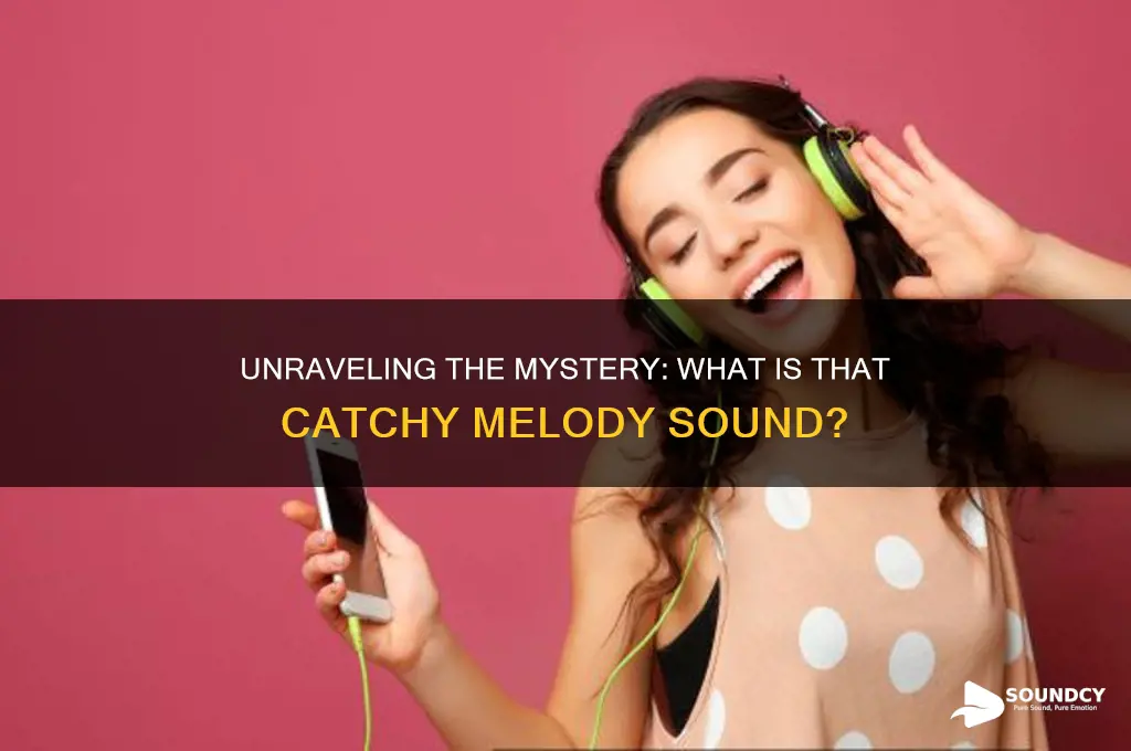 what is that melody sound