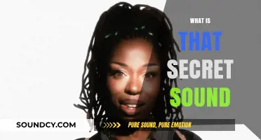 Unveiling the Mystery: What is That Secret Sound?
