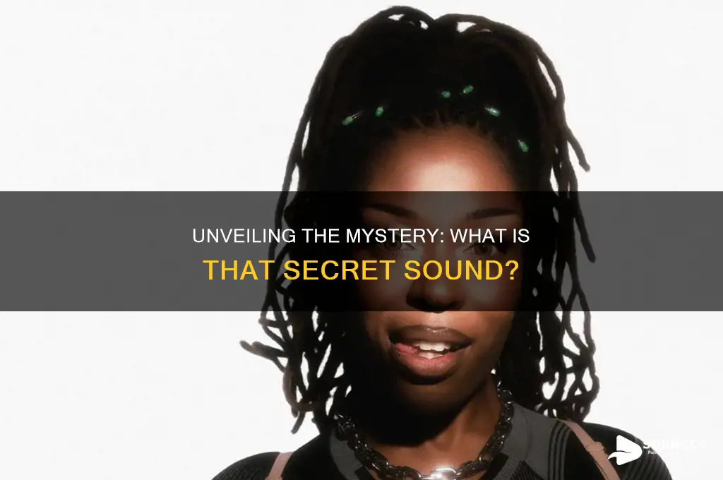 what is that secret sound
