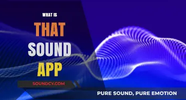 Unveiling the Mystery: What Is That Sound App and How It Works