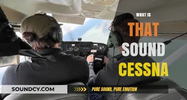 Unraveling the Mystery: What's That Sound in My Cessna?