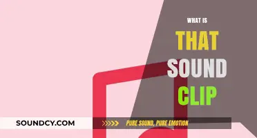 Unraveling the Mystery: What is That Sound Clip?