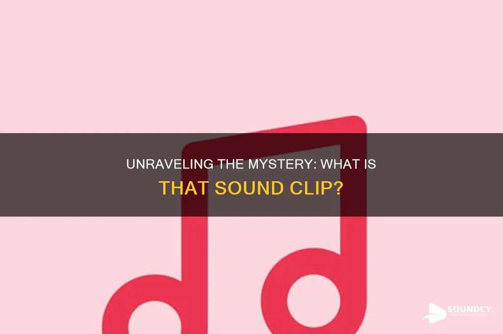 what is that sound clip