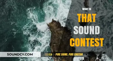 Unraveling Mysteries: The 'What is That Sound?' Contest Explained