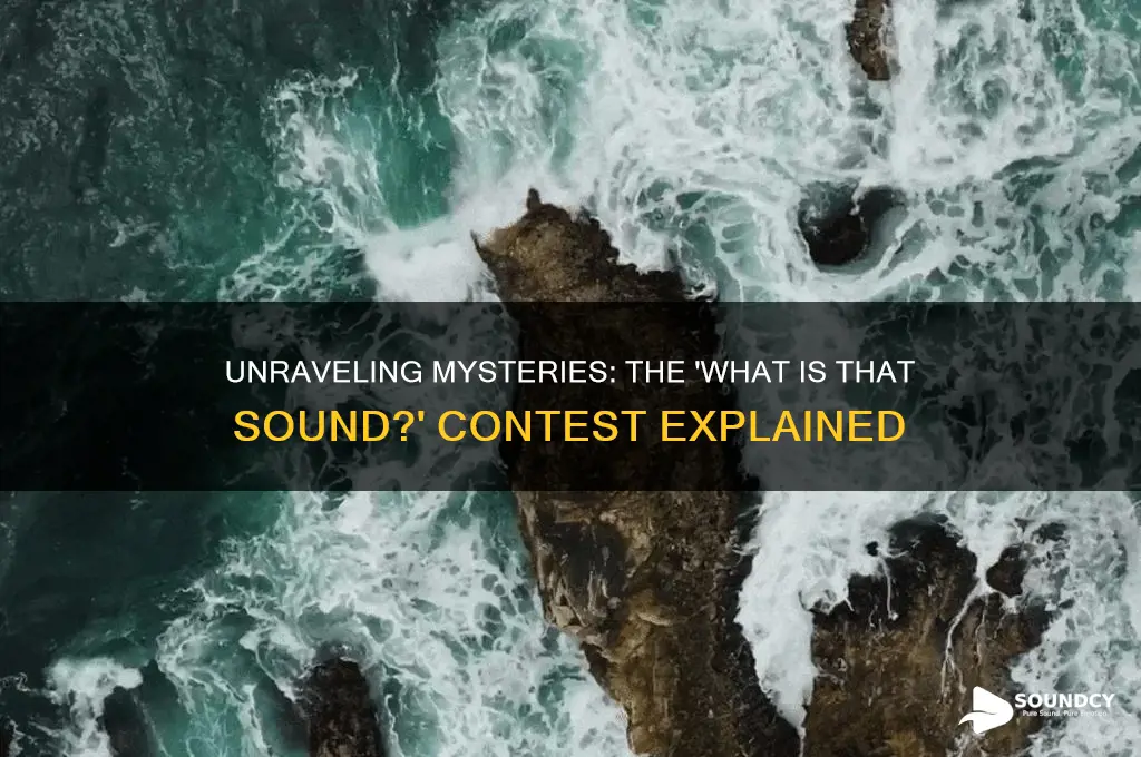 what is that sound contest