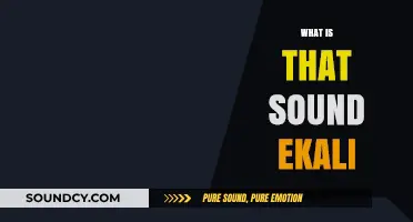 Unraveling the Mystery: What is That Sound by Ekali?