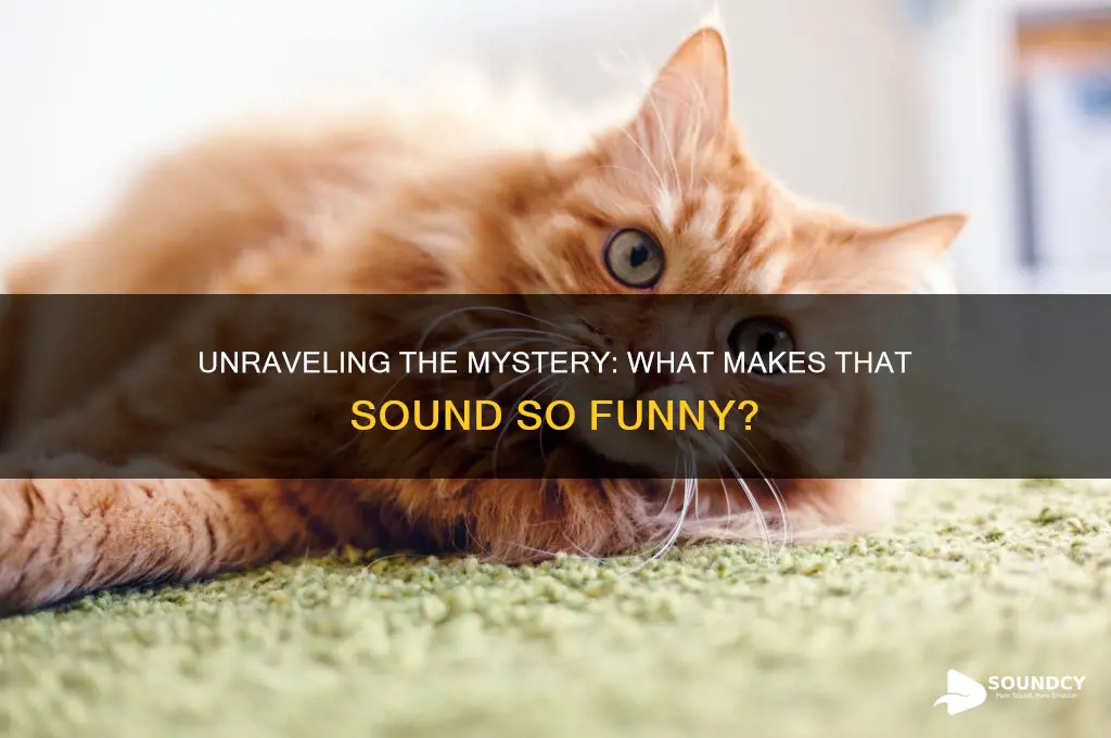 what is that sound funny