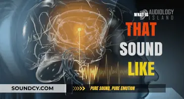 What Does That Sound Like? Exploring the Science of Auditory Perception