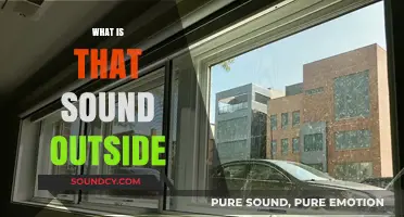Unraveling the Mystery: What's That Sound Outside Your Window?
