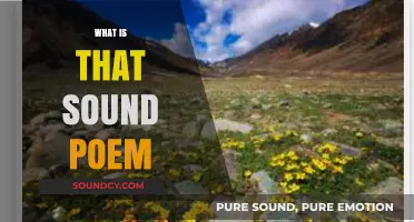 Unraveling the Mystery: Exploring the Enigmatic 'What Is That Sound' Poem