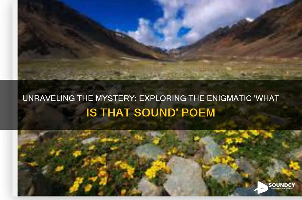 what is that sound poem