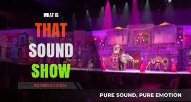 Unraveling the Mystery: Exploring the Intriguing World of 'What Is That Sound Show