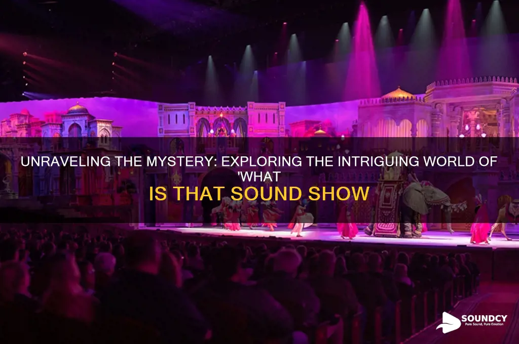 what is that sound show